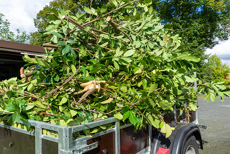 gartenabfaelle-entsorgung-fachgerecht